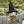 Load image into Gallery viewer, Witchy Gnome Pattern
