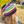 Load image into Gallery viewer, Color Parade Hat Pattern

